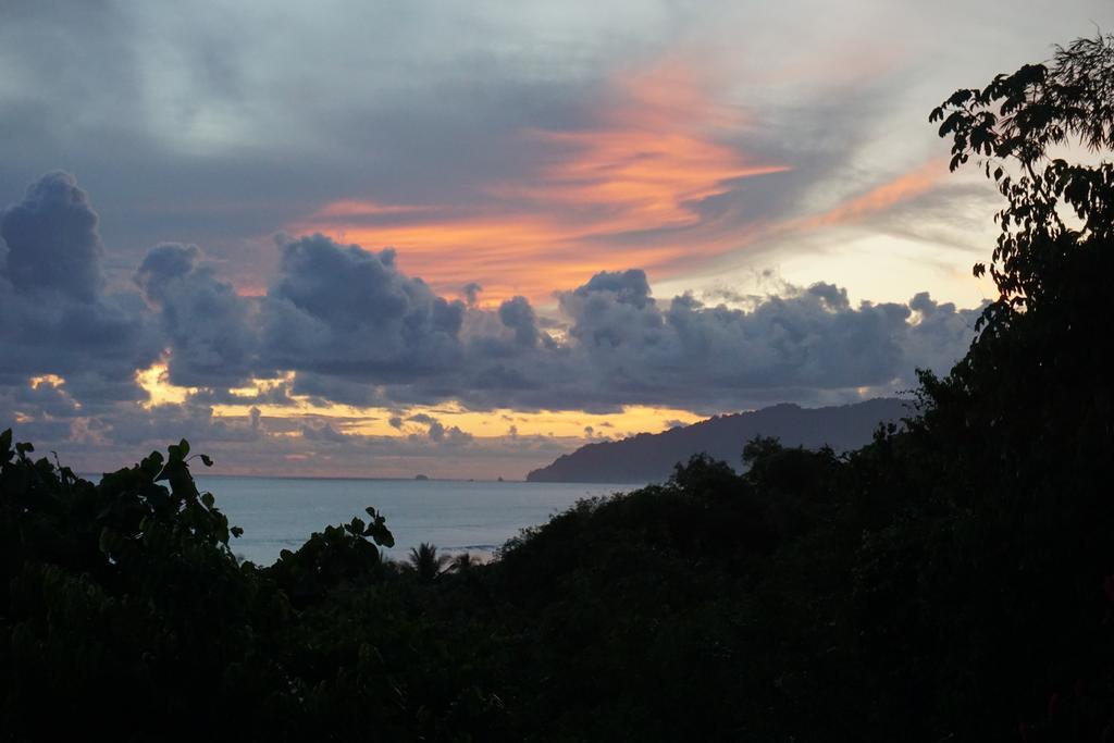 Lookout Inn Beach Rain-Forest Eco Lodge Carate エクステリア 写真