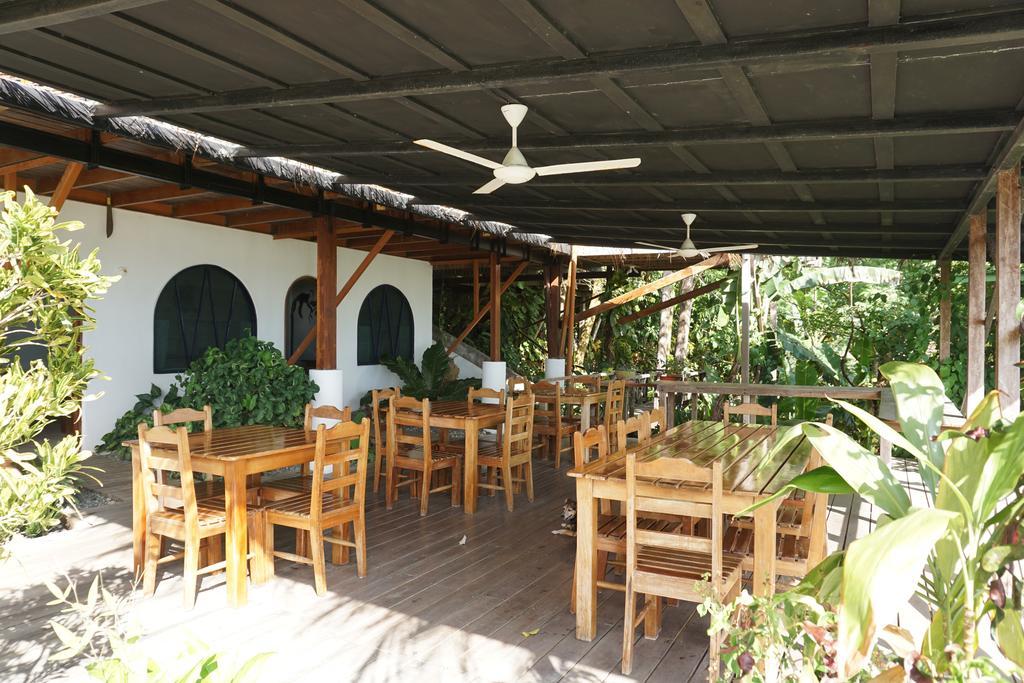 Lookout Inn Beach Rain-Forest Eco Lodge Carate エクステリア 写真