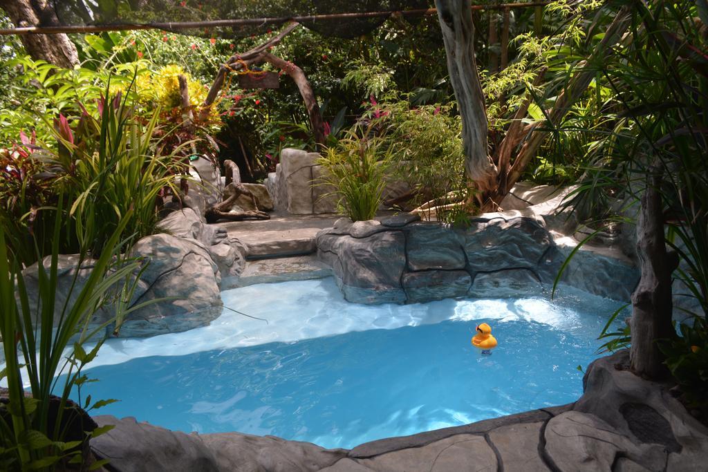 Lookout Inn Beach Rain-Forest Eco Lodge Carate エクステリア 写真