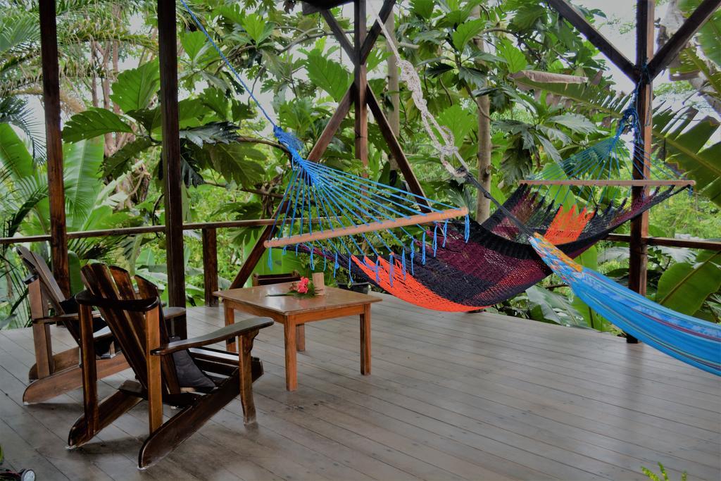 Lookout Inn Beach Rain-Forest Eco Lodge Carate エクステリア 写真