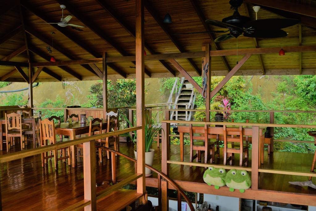 Lookout Inn Beach Rain-Forest Eco Lodge Carate エクステリア 写真