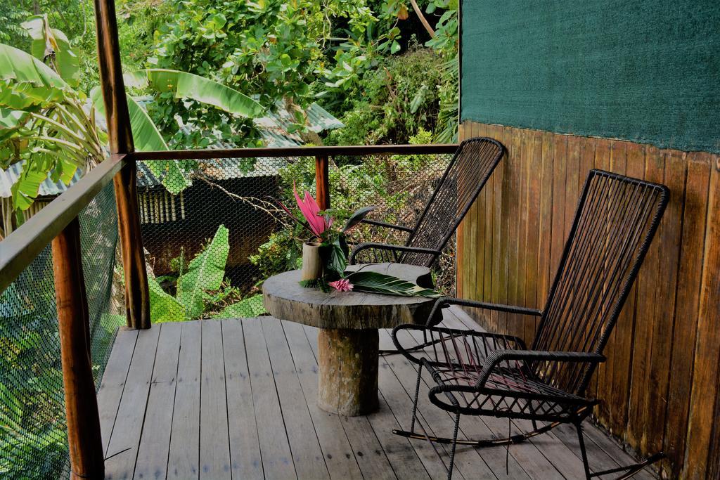 Lookout Inn Beach Rain-Forest Eco Lodge Carate エクステリア 写真
