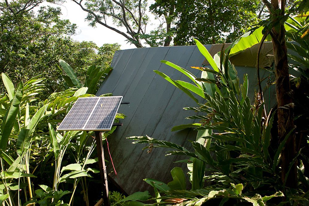 Lookout Inn Beach Rain-Forest Eco Lodge Carate エクステリア 写真