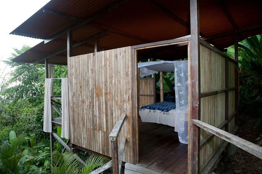 Lookout Inn Beach Rain-Forest Eco Lodge Carate エクステリア 写真
